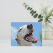 Happy Greyhound Smiling Close ポストカード (スタンド正面)