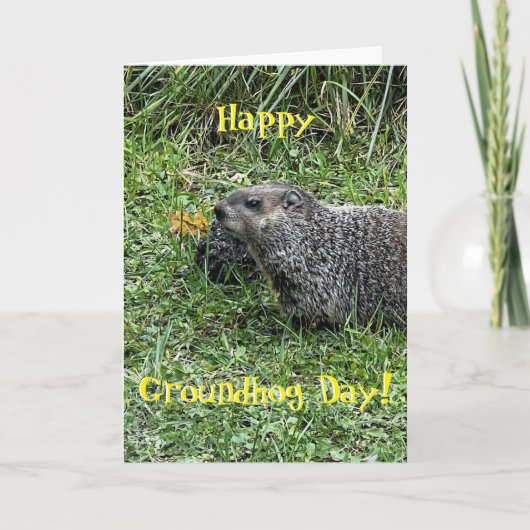 Happy Groundhog Day, custom greeting cards カード (正面)