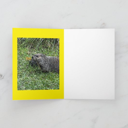 Happy Groundhog Day, custom greeting cards カード (内部)