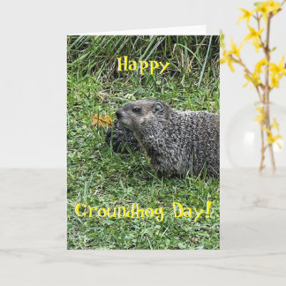Happy Groundhog Day, custom greeting cards カード