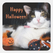 Happy Halloween Cat Calico Kitty スクエアシール (正面)