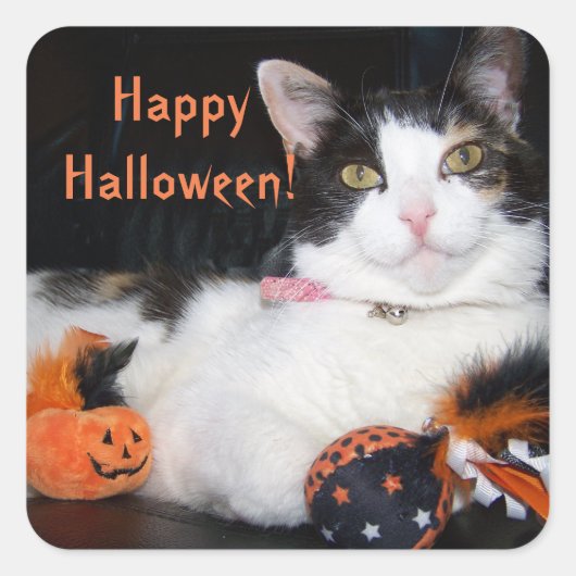 Happy Halloween Cat Calico Kitty スクエアシール (正面)