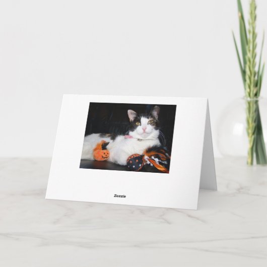 Happy Halloween Cat Calico Kitty with Pumpkin カード (裏面)