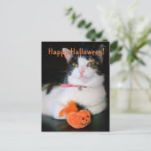Happy Halloween Cat with Pumpkin シーズンポストカード (スタンド正面)