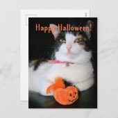 Happy Halloween Cat with Pumpkin シーズンポストカード (正面/裏面)