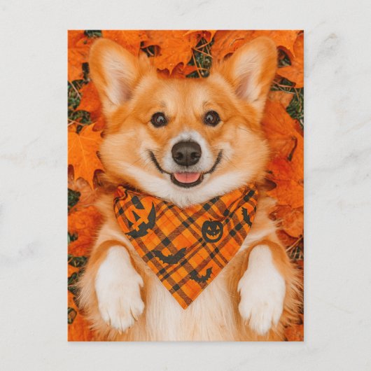 Happy Halloween Corgi Postcard Cute Dog Autumn ポストカード (正面)