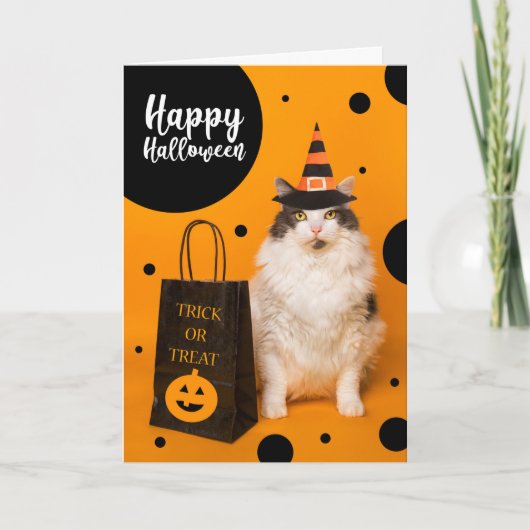 Happy Halloween For Anyone Cute Cat in Witch Hat  シーズンカード (正面)