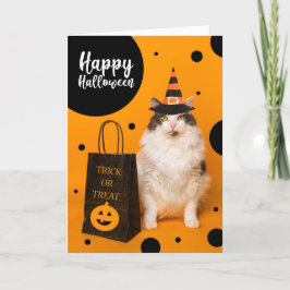 Happy Halloween For Anyone Cute Cat in Witch Hat シーズンカード