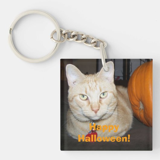 Happy Halloween Orange Tabby Cat With Pumpkin キーホルダー (正面)