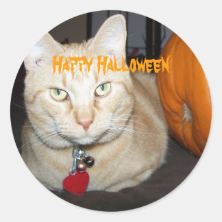 Happy Halloween Orange Tabby Cat With Pumpkin ラウンドシール