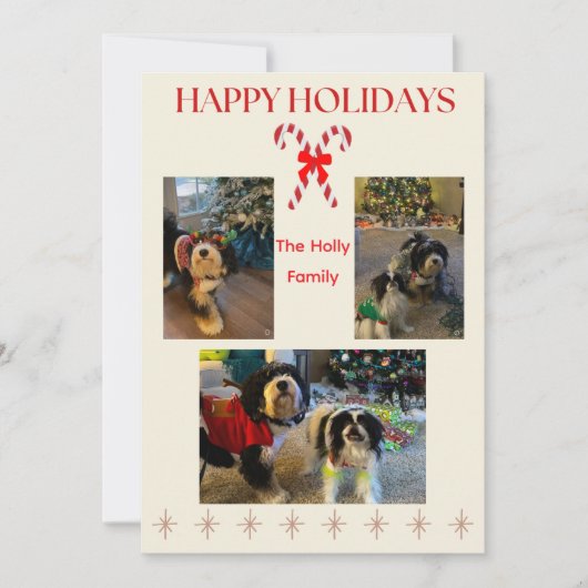 Happy Holidays Candy Cane and Twinkle Card シーズンカード (正面)