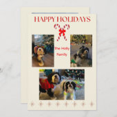 Happy Holidays Candy Cane and Twinkle Card シーズンカード (正面/裏面)