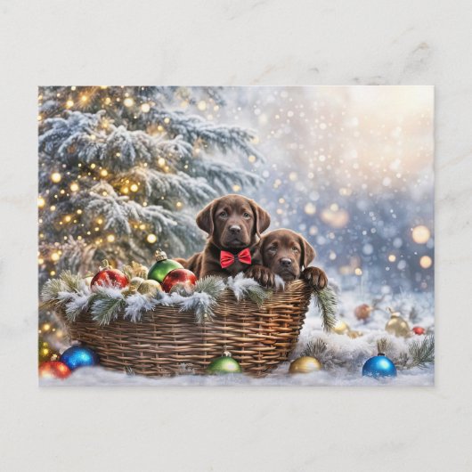 Happy Holidays Christmas Chocolate Lab Puppies シーズンポストカード (正面)
