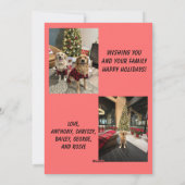 Happy Holidays Christmas Lights Photo Card シーズンカード (裏面)