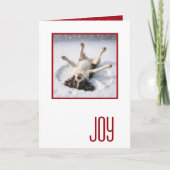 Happy Holidays English Spring Spaniel カード (正面)