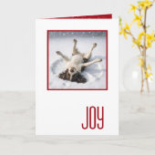 Happy Holidays English Spring Spaniel カード (黄色い花)