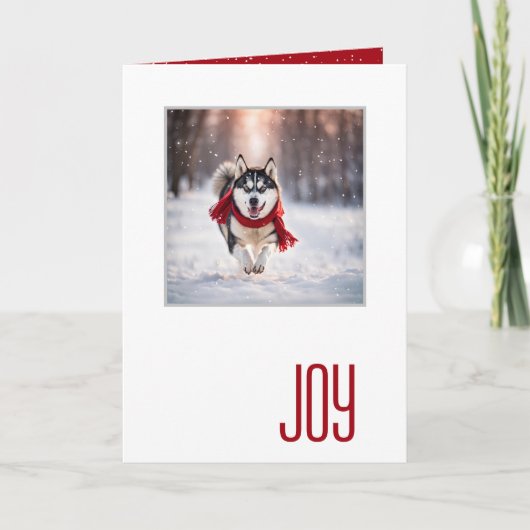 Happy Holidays Husky With a Red Scarf カード (正面)