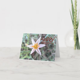 Happy Holidays White Flower Blank Greeting Card サンキューカード