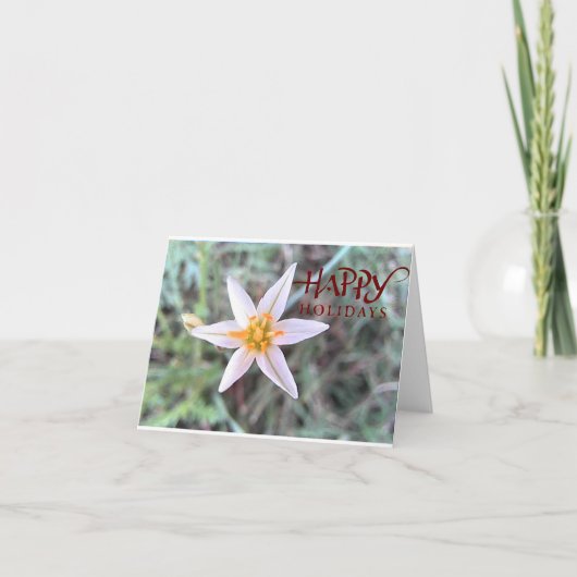 Happy Holidays White Flower Blank Greeting Card サンキューカード (正面)