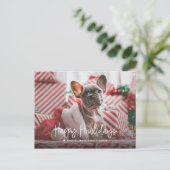 Happy Howlidaysフォトペ独身のットクリスマス シーズンポストカード (スタンド正面)