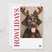 Happy Howlidays Dog Christmas 5フォトカード 招待状 (正面)