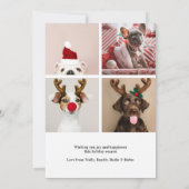 Happy Howlidays Dog Christmas 5フォトカード 招待状 (裏面)