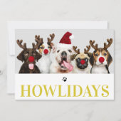 Happy Howlidays Dog Christmas 5フォトカード 招待状 (正面)