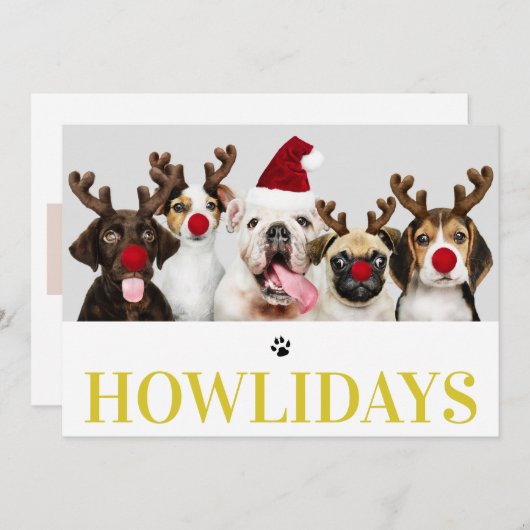 Happy Howlidays Dog Christmas 5フォトカード 招待状 (正面/裏面)
