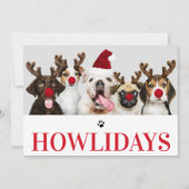 Happy Howlidays Dog Christmas 5フォトカード 招待状 (正面)
