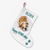 Happy HOWLidays Green Christmas Pet写真 スモールクリスマスストッキング (正面 (吊り時))