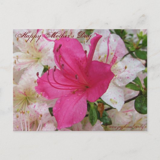 Happy Mother's Dayカード ポストカード (正面)