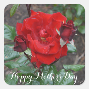 Happy Mother's Dayクリムゾンブーケ#1シール スクエアシール
