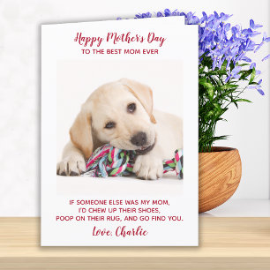 Happy Mothers Day 最高の Mom Ever Pet Dog写真 シーズンカード