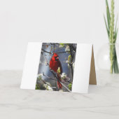 Happy Mother's Day Flowering Trの女性（鳥）ショウジョウコウカンチョウ カード (裏面)