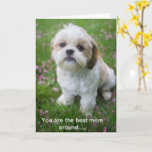 Happy Mother's Day from Edie theシーズー（犬） カード (黄色い花)