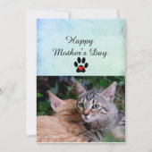 Happy Mother's Day from Your Cats Flat Card 招待状 (正面)