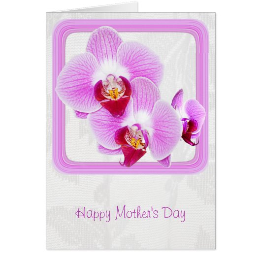 Happy Mother's Day, Radiant Orchidクローズアップ写真 (正面)