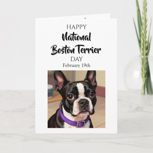 Happy National Boston Terrier Day | Feb 19th カード (正面)