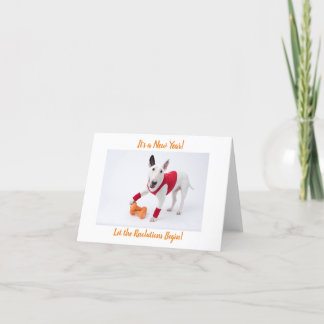 Happy New Year Gym Bull Terrier シーズンカード