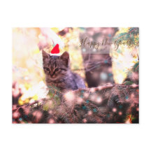 Happy New Year Postcard Kitten