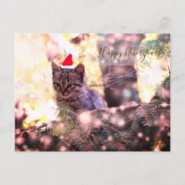 Happy New Year Postcard Kitten シーズンポストカード