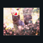 Happy New Year Postcard Kitten シーズンポストカード<br><div class="desc">Happy New Year winter holiday postcard with a sweet kitten on a tree with a party New Year hat. Easy to customize your text .</div>