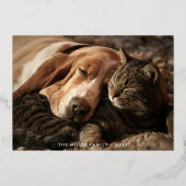 Happy Pawlidaysペットの写真 箔シーズンカード (正面)