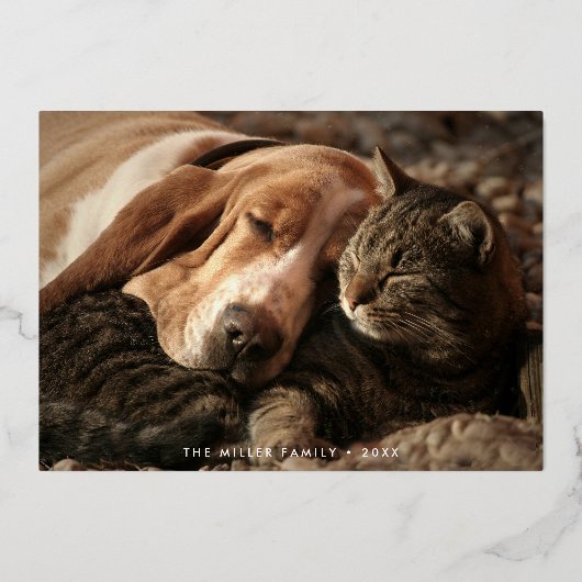 Happy Pawlidaysペットの写真 箔シーズンカード (正面)