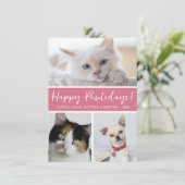 Happy Pawlidays 3の写真 シーズンカード (スタンド正面)