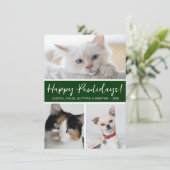 Happy Pawlidays 3の写真 シーズンカード (スタンド正面)