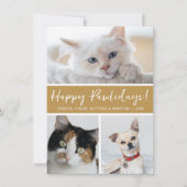 Happy Pawlidays 3の写真 シーズンカード (正面)