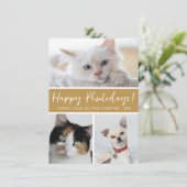 Happy Pawlidays 3の写真 シーズンカード (スタンド正面)
