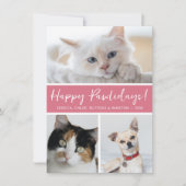 Happy Pawlidays 3 写真 シーズンカード (正面)