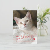 Happy Pawlidays Catフォトクリスマス シーズンカード (スタンド正面)
